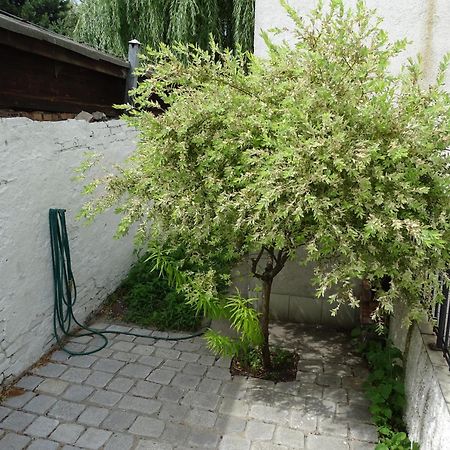 Mur 4 - Apartament Z Patio Торунь Екстер'єр фото