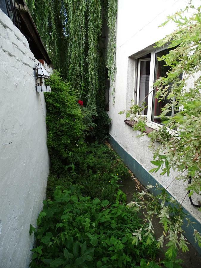 Mur 4 - Apartament Z Patio Торунь Екстер'єр фото