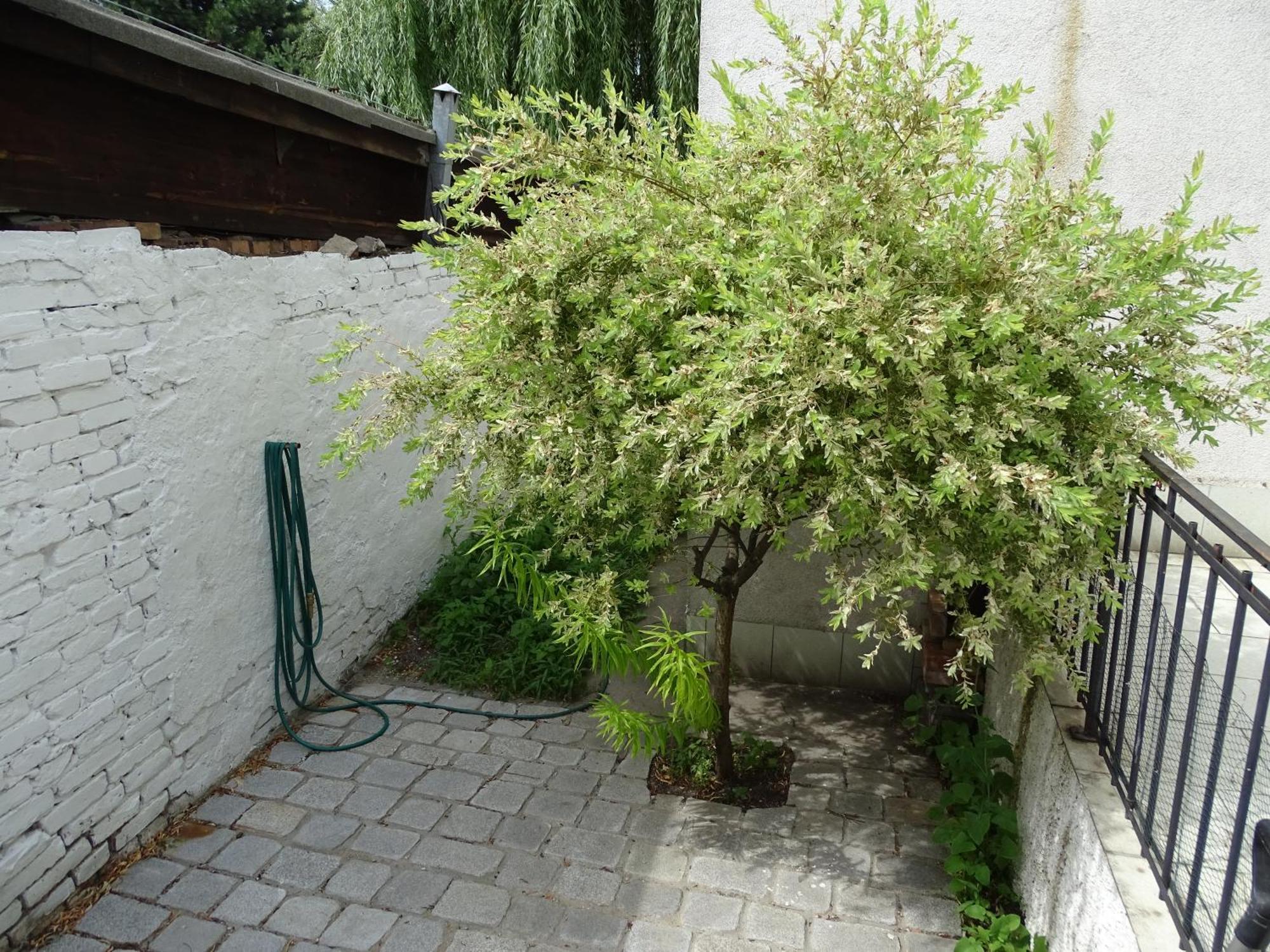 Mur 4 - Apartament Z Patio Торунь Екстер'єр фото